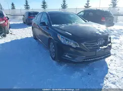 5NPE34AF2GH399210 2016 HYUNDAI SONATA