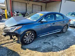 5NPE34AF2GH423604 2016 HYUNDAI SONATA