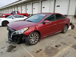 5NPE34AF2GH427717 2016 HYUNDAI SONATA
