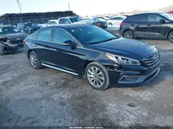 5NPE34AF2HH446351 2017 HYUNDAI SONATA