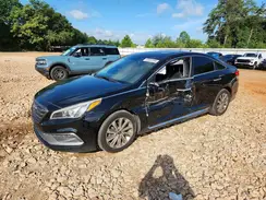 5NPE34AF2HH508444 2017 HYUNDAI SONATA