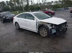 5NPE34AF2HH555151 2017 HYUNDAI SONATA