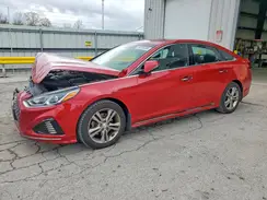 5NPE34AF2KH729257 2019 HYUNDAI SONATA