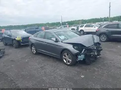 5NPE34AF2KH731445 2019 HYUNDAI SONATA