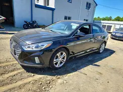 5NPE34AF2KH735432 2019 HYUNDAI SONATA