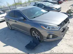 5NPE34AF2KH737813 2019 HYUNDAI SONATA