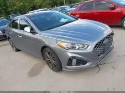5NPE34AF2KH743501 2019 HYUNDAI SONATA