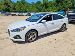 5NPE34AF2KH746348 2019 HYUNDAI SONATA