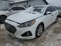 5NPE34AF2KH750206 2019 HYUNDAI SONATA