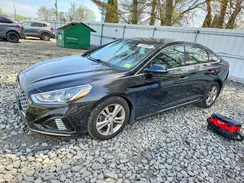 5NPE34AF2KH761609 2019 HYUNDAI SONATA