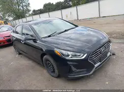 5NPE34AF2KH763795 2019 HYUNDAI SONATA