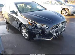 5NPE34AF2KH775381 2019 HYUNDAI SONATA