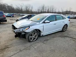 5NPE34AF2KH776238 2019 HYUNDAI SONATA