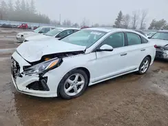 5NPE34AF2KH785151 2019 HYUNDAI SONATA