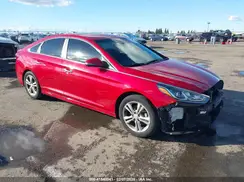 5NPE34AF2KH787482 2019 HYUNDAI SONATA
