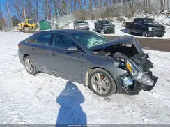 5NPE34AF2KH798806 2019 HYUNDAI SONATA