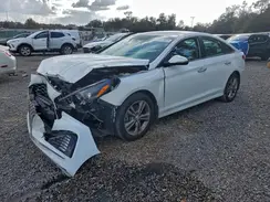 5NPE34AF2KH800439 2019 HYUNDAI SONATA