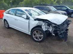 5NPE34AF2KH805723 2019 HYUNDAI SONATA