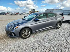 5NPE34AF2KH814504 2019 HYUNDAI SONATA