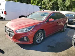 5NPE34AF2KH815345 2019 HYUNDAI SONATA
