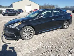 5NPE34AF3GH372341 2016 HYUNDAI SONATA