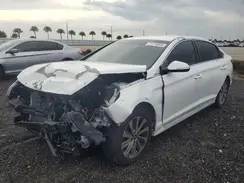 5NPE34AF3GH378530 2016 HYUNDAI SONATA