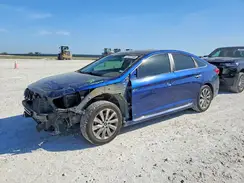 5NPE34AF3HH462302 2017 HYUNDAI SONATA