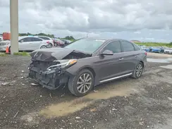 5NPE34AF3HH482307 2017 HYUNDAI SONATA
