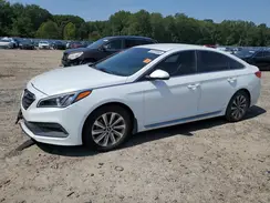 5NPE34AF3HH499155 2017 HYUNDAI SONATA