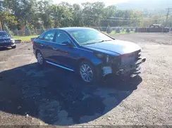 5NPE34AF3HH541694 2017 HYUNDAI SONATA
