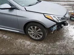5NPE34AF3HH542182 2017 HYUNDAI SONATA