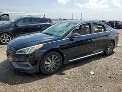 5NPE34AF3HH556812 2017 HYUNDAI SONATA