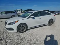 5NPE34AF3HH567227 2017 HYUNDAI SONATA