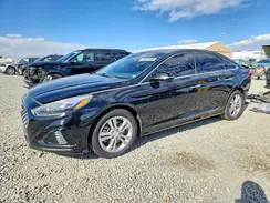 5NPE34AF3JH703362 2018 HYUNDAI SONATA