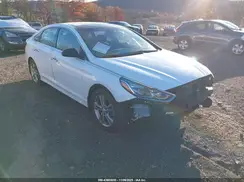 5NPE34AF3KH729199 2019 HYUNDAI SONATA