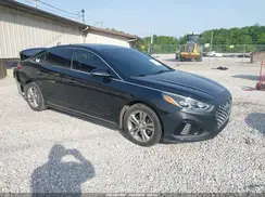 5NPE34AF3KH731602 2019 HYUNDAI SONATA