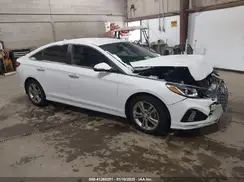 5NPE34AF3KH736461 2019 HYUNDAI SONATA