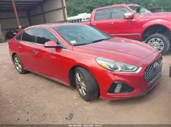 5NPE34AF3KH740378 2019 HYUNDAI SONATA