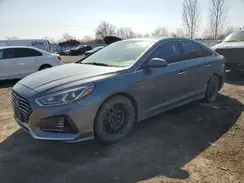 5NPE34AF3KH748383 2019 HYUNDAI SONATA