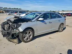 5NPE34AF3KH750974 2019 HYUNDAI SONATA