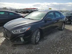 5NPE34AF3KH753101 2019 HYUNDAI SONATA