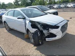 5NPE34AF3KH773106 2019 HYUNDAI SONATA