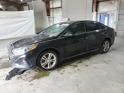 5NPE34AF3KH791265 2019 HYUNDAI SONATA