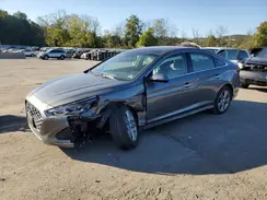5NPE34AF3KH795395 2019 HYUNDAI SONATA