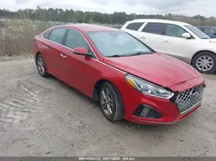 5NPE34AF3KH798085 2019 HYUNDAI SONATA