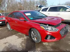 5NPE34AF3KH800031 2019 HYUNDAI SONATA
