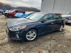 5NPE34AF3KH803558 2019 HYUNDAI SONATA