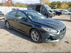 5NPE34AF3KH807979 2019 HYUNDAI SONATA