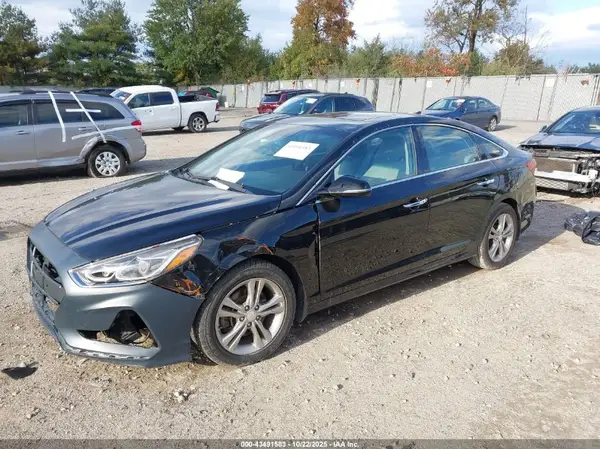 5NPE34AF3KH807979 2019 HYUNDAI SONATA - Image 2