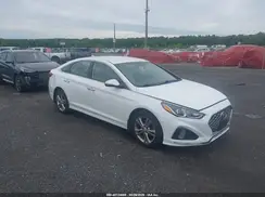 5NPE34AF3KH810140 2019 HYUNDAI SONATA